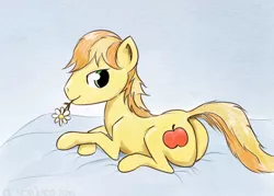 Size: 640x457 | Tagged: suggestive, artist:el-yeguero, derpibooru import, braeburn, earth pony, pony, bed, braebutt, flower, looking at you, looking back, looking back at you, male, plot, smiling, smiling at you, solo, solo male, stallion