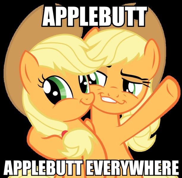 Size: 960x939 | Tagged: applejack, derpibooru import, image macro, meme, safe, self ponidox, smugdash, solo, twiface, x x everywhere