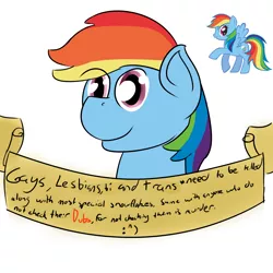 Size: 2000x2000 | Tagged: 4chan, artist:da bunnana king, dubs, hate speech, homophobia, meme, mouthpiece, old banner, parody, rainbow dash, /s4s/, safe, special snowflake, transphobia