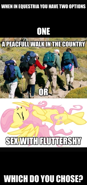 Size: 1494x3171 | Tagged: artist:illuminatiums, bronybait, choice, comic, derpibooru import, fluttershy, meta, misspelling, question, questionable, show accurate, text