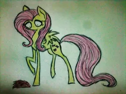 Size: 480x360 | Tagged: artist:miss-racco0n, derpibooru import, fluttershy, safe, solo, style emulation, tim burton, traditional art