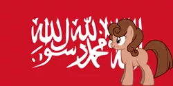 Size: 1024x512 | Tagged: arabic, blank flank, derpibooru import, flag, islam, oc, oc:shiah, pony creator, safe, shahada, solo, unofficial characters only