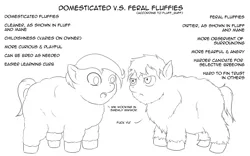 Size: 1440x900 | Tagged: artist:fluffbuff, comparison, derpibooru import, domestic, feral fluffy pony, fluffy pony, monochrome, safe, vulgar
