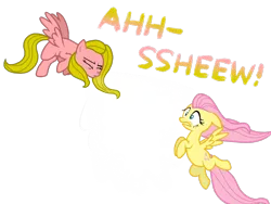 Size: 2048x1536 | Tagged: artist:proponypal, derpibooru import, duo, fluttershy, mucus, oc, oc:typhoon, safe, sneezing, sneezing fetish, snot, spit, spray, wind