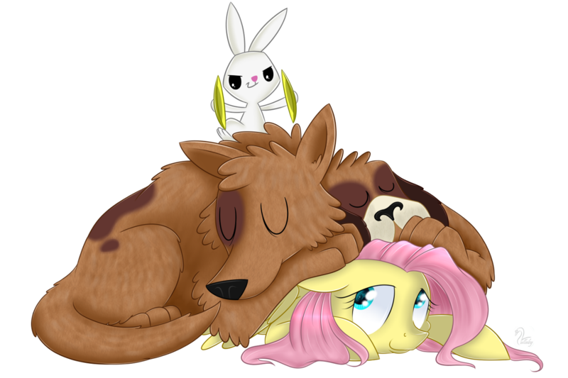 Size: 1350x900 | Tagged: angel bunny, angel is a bunny bastard, artist:swanlullaby, cuddling, cymbals, derpibooru import, dog, fluttershy, multiple heads, orthros, pure unfiltered evil, safe, simple background, sleeping, snuggling, this will end in tears and/or death, trade ya, transparent background, two heads