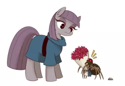 Size: 980x673 | Tagged: artist:umeguru, bouquet, derpibooru import, fuzzy legs, maud pie, rock, safe, spider