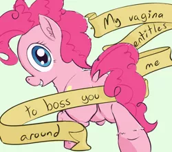 Size: 1024x900 | Tagged: suggestive, artist:a6p, derpibooru import, pinkie pie, earth pony, pony, banner, dock, featureless crotch, female, feminazi, looking at you, looking back, mare, mouthpiece, old banner, plot, poe's law, satire, sexism, smiling, solo