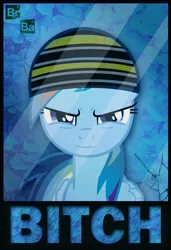 Size: 989x1442 | Tagged: safe, artist:flare-chaser, derpibooru import, rainbow dash, pony, bitch, breaking bad, crystal meth, jesse pinkman, meth, solo