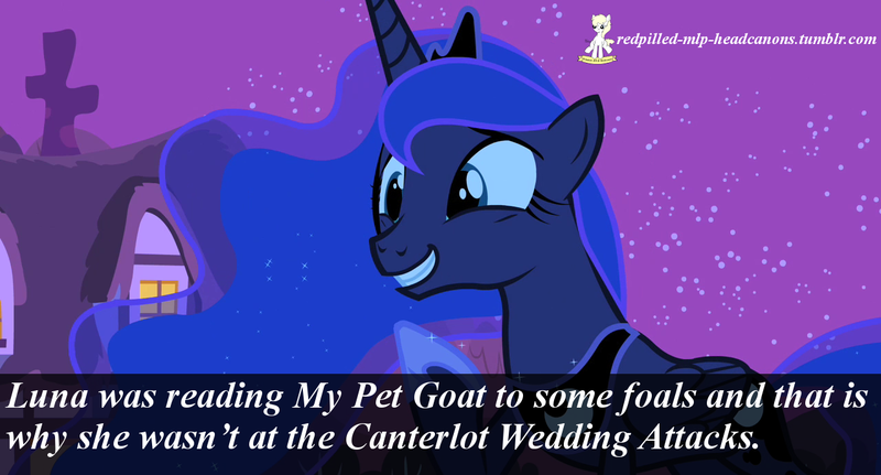 Size: 1280x690 | Tagged: 9/11, derpibooru import, george bush, george w. bush, goat, grin, headcanon, princess luna, redpilled-mlp-headcanons, safe, screencap, smiling, solo