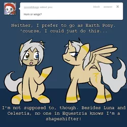 Size: 500x500 | Tagged: safe, artist:shenhibiki, derpibooru import, oc, oc:aether, oc:shenhibiki, unofficial characters only, alicorn, pony, alicorn oc, ask, gary stu, tumblr