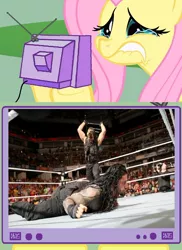 Size: 562x771 | Tagged: exploitable meme, fluttershy, meme, obligatory pony, safe, the shield, tv meme, wwe