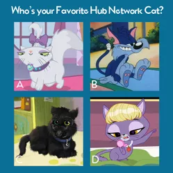 Size: 564x566 | Tagged: delilah, furrball, hub network, littlest pet shop, official, opalescence, sabrina secrets of a teenage witch, safe, salem, text, tiny toon adventures