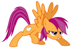 Size: 11864x8112 | Tagged: safe, artist:dowlphin, derpibooru import, edit, rainbow dash, scootaloo, chicken, pegasus, pony, absurd resolution, female, fusion, mare, older, older scootaloo, rainbow feathers, scootachicken, simple background, solo, transparent background, vector
