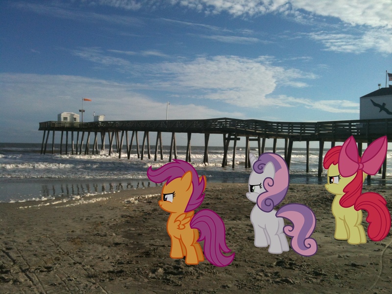 Size: 2048x1536 | Tagged: apple bloom, artist:baleyreeves, artist:dreamcasterpegasus, beach, building, confident, cutie mark crusaders, derpibooru import, irl, ocean, photo, pier, plot, ponies in real life, safe, scootaloo, sweetie belle, vector