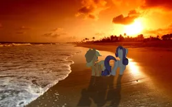 Size: 2880x1800 | Tagged: safe, derpibooru import, applejack, rarity, beach, female, irl, lesbian, ocean, palm tree, photo, photoshop, ponies in real life, rarijack, sand, shipping, sunset, wallpaper