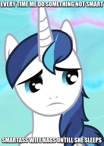 Size: 395x553 | Tagged: safe, derpibooru import, shining armor, image macro, meme, sad, solo, vulgar