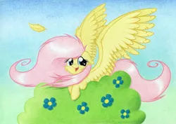 Size: 1920x1363 | Tagged: artist:agamnentzar, bush, derpibooru import, feather, flower, fluttershy, looking at you, safe, smiling, solo, spread wings, traditional art, windswept mane