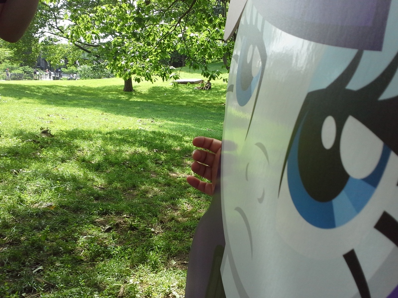 481511 cardboard cutout, date, derpibooru import, new york, park, rarity, safe, waifu Twibooru
