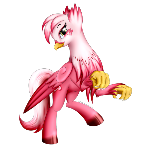 Size: 1700x1700 | Tagged: safe, artist:bludraconoid, derpibooru import, oc, oc:stargazer, unofficial characters only, classical hippogriff, gryphon, hippogriff, simple background, solo, transparent background