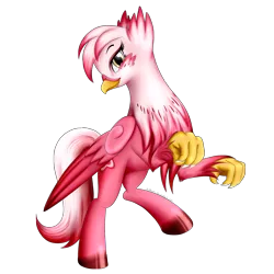 Size: 1700x1700 | Tagged: safe, artist:bludraconoid, derpibooru import, oc, oc:stargazer, unofficial characters only, classical hippogriff, gryphon, hippogriff, simple background, solo, transparent background