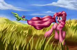 Size: 2125x1375 | Tagged: safe, artist:grennadder, derpibooru import, applejack, fluttershy, gummy, owlowiscious, pinkie pie, rainbow dash, rarity, tank, twilight sparkle, twilight sparkle (alicorn), alicorn, pony, duo focus, female, field, happy, mane six, mare, playing, solo focus