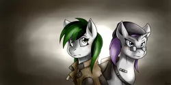 Size: 1600x800 | Tagged: artist:whitepone, derpibooru import, fallout, fallout equestria, fallout equestria: treasure hunting, oc, oc:hidden fortune, oc:lost art, safe, unofficial characters only