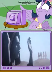 Size: 563x771 | Tagged: safe, derpibooru import, twilight sparkle, twilight sparkle (alicorn), alicorn, pony, apocalypse, days of future past, exploitable meme, female, four horsemen of the apocalypse, image, mare, marvel, meme, obligatory pony, png, spoiler, spoilers for another series, tv meme, x-men