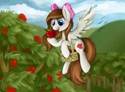 Size: 3000x2218 | Tagged: safe, artist:savannaeve, derpibooru import, rainbow dash, oc, pegasus, pony, apple, basket