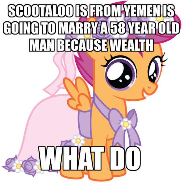 Size: 1280x1280 | Tagged: bridesmaid dress, caption, clothes, dress, grammar error, image macro, meme, safe, scootaloo, solo, what do, yemen