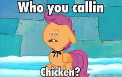 Size: 480x305 | Tagged: chicken, derpibooru import, pinhead larry, safe, scootachicken, scootaloo, solo, spongebob squarepants, survival of the idiots