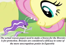 Size: 1280x886 | Tagged: breezie, derpibooru import, fluttershy, headcanon, redpilled-mlp-headcanons, safe