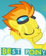 Size: 201x246 | Tagged: safe, derpibooru import, spitfire, best pony, expand dong, exploitable meme, goggles, meme, needs more jpeg, smug, solo, victory