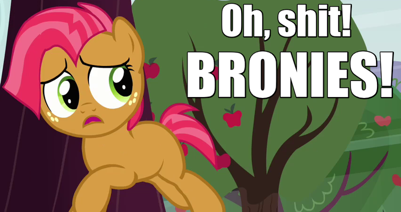 Size: 850x450 | Tagged: safe, derpibooru import, edit, edited screencap, ponerpics import, ponybooru import, screencap, babs seed, earth pony, pony, apple family reunion, anti-bronybait, caption, female, filly, image, image macro, implied, meme, meta, png, running, running away, scared, self deprecation, solo, vulgar