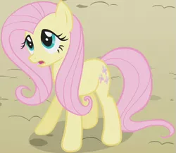 Size: 599x519 | Tagged: safe, derpibooru import, screencap, fluttershy, pony, the return of harmony, animation error, outfit catalog, solo, wingless
