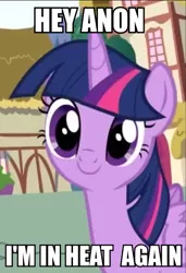 Size: 393x576 | Tagged: suggestive, derpibooru import, edit, edited screencap, screencap, twilight sparkle, twilight sparkle (alicorn), oc, oc:anon, alicorn, pony, /mlp/, bronybait, caption, estrus, female, image macro, mare, meme, smiling, solo