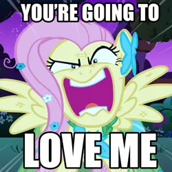 Size: 1080x1080 | Tagged: safe, derpibooru import, edit, edited screencap, screencap, fluttershy, pegasus, pony, the best night ever, artifact, clothes, dress, female, flutterrage, gala dress, image macro, mare, meme, solo, text, you're going to love me