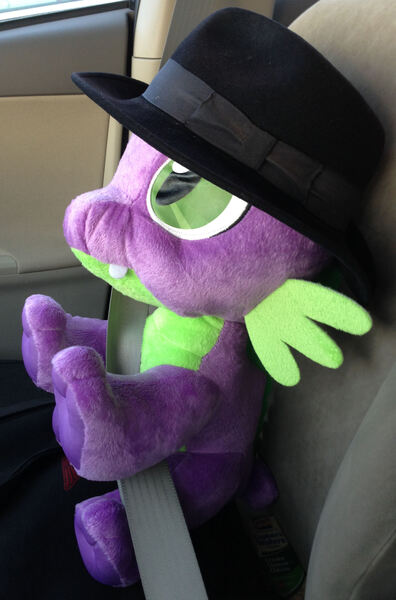 Size: 2006x3040 | Tagged: derpibooru import, fedora, hat, irl, photo, plushie, safe, seatbelt, solo, spike, spike plushie