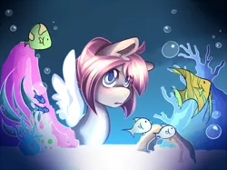 Size: 900x674 | Tagged: aquarium, artist:rubyrue, derpibooru import, oc, oc:rubyrue, safe, solo, unofficial characters only