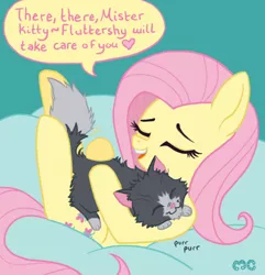 Size: 662x688 | Tagged: artist:mcponyponypony, beanbag, beanbag chair, cat, crossover, cute, dan vs, derpibooru import, fluttershy, mr mumbles, safe