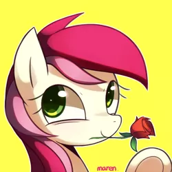 Size: 1800x1800 | Tagged: artist:maren, bust, derpibooru import, flower, flower in mouth, looking at you, mouth hold, rose, roseluck, safe, solo