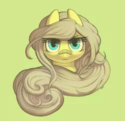 Size: 1019x987 | Tagged: artist:moo, bandaid, derpibooru import, fluttershy, head, looking at you, plaster, safe, simple background, solo