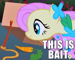 Size: 600x480 | Tagged: safe, derpibooru import, edit, edited screencap, screencap, fluttershy, pegasus, pony, the best night ever, bait, box, caption, carrot, clothes, cropped, cute, dress, eyes on the prize, female, flower, gala dress, happy, image macro, mare, meme, reaction image, rope, rose, shyabetes, smiling, solo, stick, text, this is bait