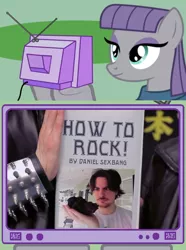 Size: 564x760 | Tagged: attitude city, derpibooru import, egoraptor, exploitable meme, maud pie, meme, ninja sex party, obligatory pony, rock, safe, tv meme