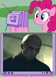 Size: 563x771 | Tagged: derpibooru import, exploitable meme, meme, obligatory pony, oroku saki, pinkie pie, safe, teenage mutant ninja turtles, tv meme