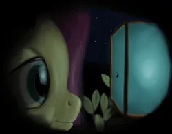 Size: 878x686 | Tagged: artist:lemurkatta, dark, derpibooru import, fluttershy, insect, lantern, night, safe, size difference, solo