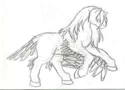Size: 500x361 | Tagged: derpibooru import, fluffy, harpy, leg wings, long mane, monochrome, ponified, rearing, safe, sketch, solo, traditional art