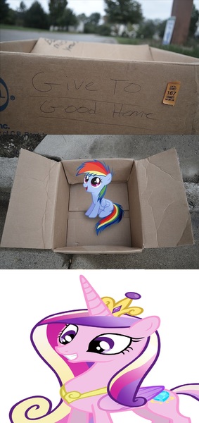 Size: 1320x2796 | Tagged: dashie meme, exploitable meme, good people finding dash meme, meme, princess cadance, safe