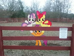 Size: 2592x1944 | Tagged: apple bloom, artist:thatguy1945, artist:tokkazutara1164, cute, cutie mark crusaders, derpibooru import, fence, irl, photo, ponies in real life, pose, practice, pyramid, safe, scootaloo, shadow, sign, standing, sweetie belle, tree