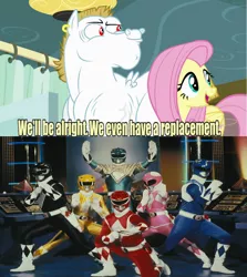 Size: 640x717 | Tagged: black ranger, blue ranger, bulk biceps, derpibooru import, dragon ranger, exploitable meme, fluttershy, green ranger, kyouryuu sentai zyuranger, mammoth ranger, meme, mighty morphin power rangers, pink ranger, power rangers, pteraranger, red ranger, replacement meme, safe, super sentai, tiger ranger, tricera ranger, tyranno ranger, yellow ranger