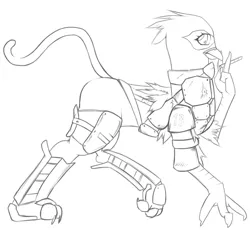 Size: 585x539 | Tagged: safe, artist:thatdarnpony, derpibooru import, gryphon, fallout equestria, monochrome, solo